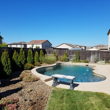 Blank Canvas to Beautiful Backyard