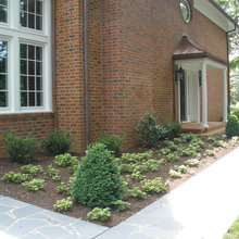 Plants for the yard