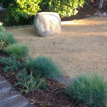 drought tolerant garden