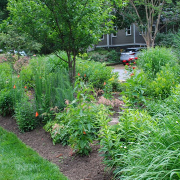 Side Yard Garden Design & Build