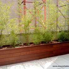 planters and plants