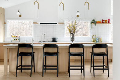 Trendy kitchen photo in Minneapolis