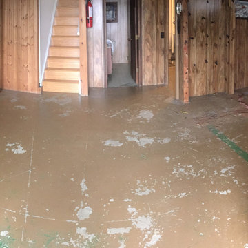 Metallic Epoxy Floor