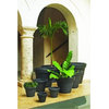 Crescent Garden Brunello Classic Rolled-Rim Planter, Weather Terracotta  20"