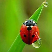Эльмира Шенеуова's photo