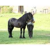 Simone Albrecht's photo