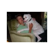 Thomas Morin's photo