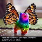 MaryAnna Rowe's photo