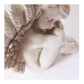 Lisa Smutz's photo