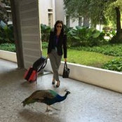 Mar Perez's photo