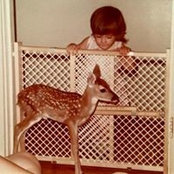 Rachel Mitchell's photo