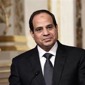 Noha Kamel's photo