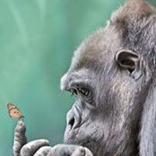 Susan Chase's photo