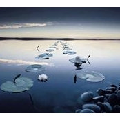 Prairie Moser's photo