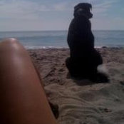 Nicole Wittekind's photo