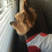 Rebecca Palmer's photo