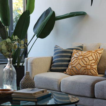 Coastal Soothing Color Scheme