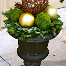 container plant