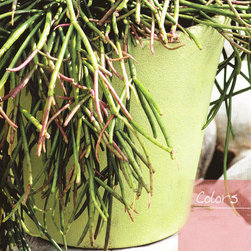 Italian REAL Colored Clay Flowerpots - Outdoor Pots And Planters