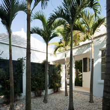 Landscape Ideas