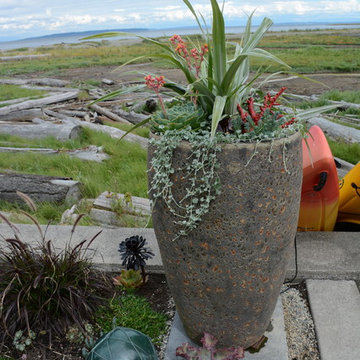 Contemporary Seaside Garden