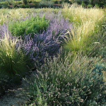 Giardino mediterraneo moderno