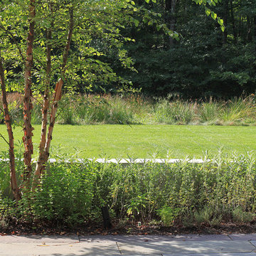 Wild Harbor Garden