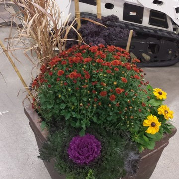 Garden Management