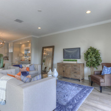 Model Home Rustic Coastal Boho