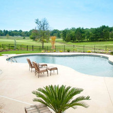 Pool / Backyard