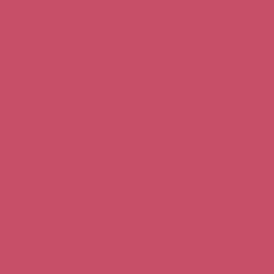 Eros Pink - Paint