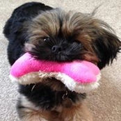 Carrie Flohaug's photo