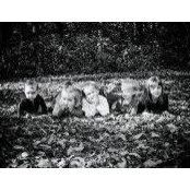 Photo de Debra Lemke Larson