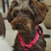Jacque Line's photo