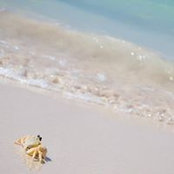 Domitille Vilmint's photo