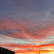 Lauren Bruce's photo