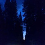 Kathy Mego-Winchell's photo