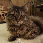 Heather Hoye's photo