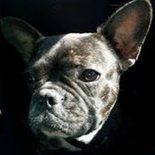 Stephanie Steinbrunn's photo