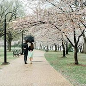 Misty Schuetz's photo