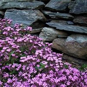 Sue Dale's photo