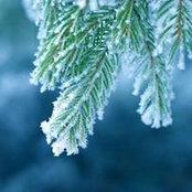 Wendy Chesser's photo
