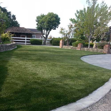 Mirage Artificial Turf Roll