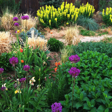 Cottage and Meadow Plantings, Year Two