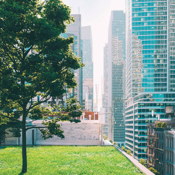 روف گاردن یا باغ های پشت بامی