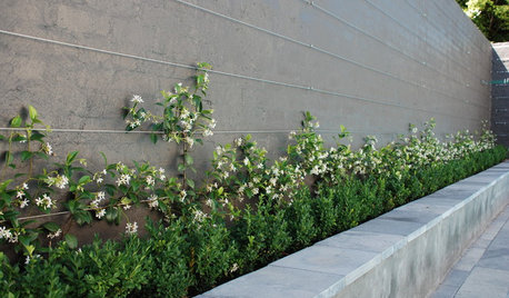 Rankhilfen und Gerüste für Kletterpflanzen im Garten