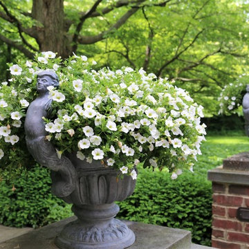 Beautiful Gardens and Accents