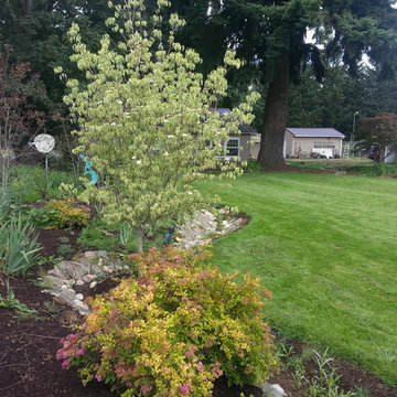 Before & After Master Gardener Landscape Makeover Lawn Reduction & Rain Gardens