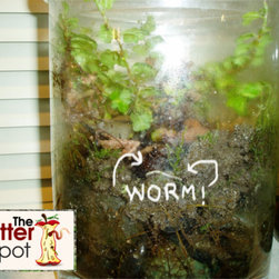 How To Raise Red Wiggler Compost worms - Products