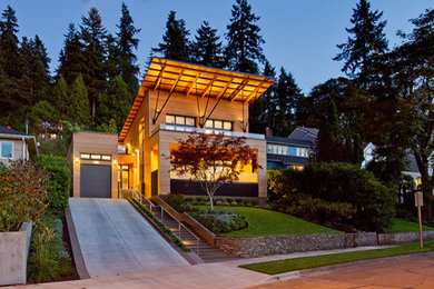 Minimalist brown three-story wood exterior home photo in Other with a shed roof